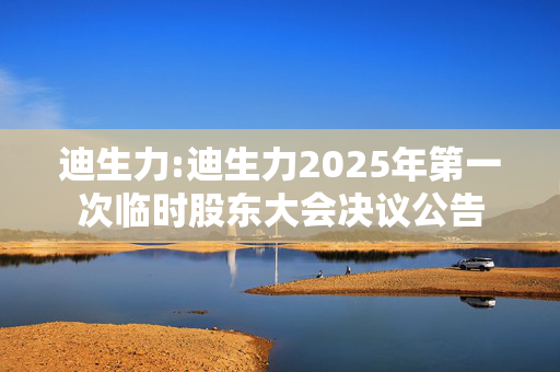 迪生力:迪生力2025年第一次临时股东大会决议公告