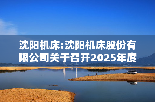 沈阳机床:沈阳机床股份有限公司关于召开2025年度第一次临时股东大会的通知