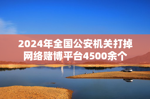 2024年全国公安机关打掉网络赌博平台4500余个