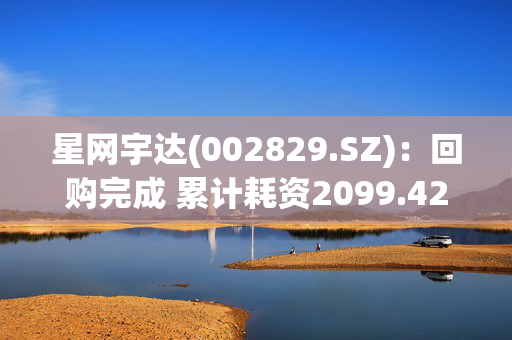 星网宇达(002829.SZ)：回购完成 累计耗资2099.42万元回购121.87万股