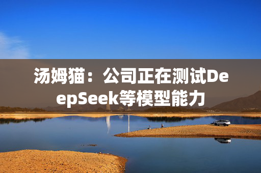 汤姆猫：公司正在测试DeepSeek等模型能力