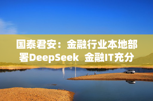 国泰君安：金融行业本地部署DeepSeek  金融IT充分受益