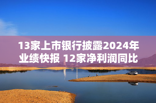 13家上市银行披露2024年业绩快报 12家净利润同比增长