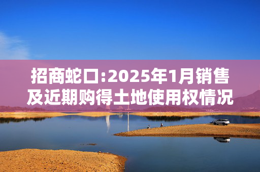 招商蛇口:2025年1月销售及近期购得土地使用权情况简报