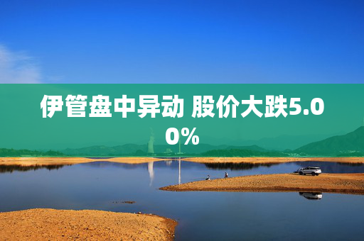 伊管盘中异动 股价大跌5.00%