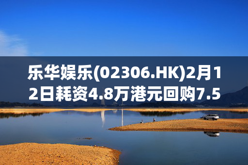 乐华娱乐(02306.HK)2月12日耗资4.8万港元回购7.5万股