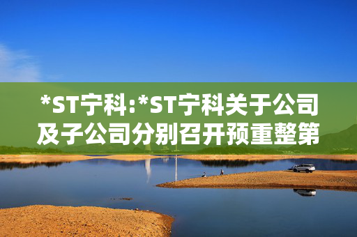 *ST宁科:*ST宁科关于公司及子公司分别召开预重整第一次临时债权人会议、重整第二次债权人会议的公告