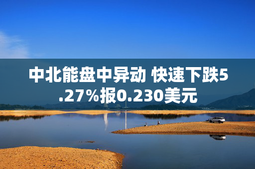 中北能盘中异动 快速下跌5.27%报0.230美元