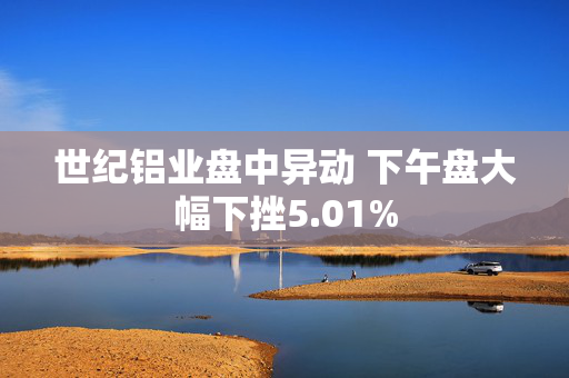 世纪铝业盘中异动 下午盘大幅下挫5.01%