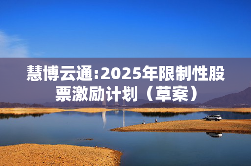 慧博云通:2025年限制性股票激励计划（草案）