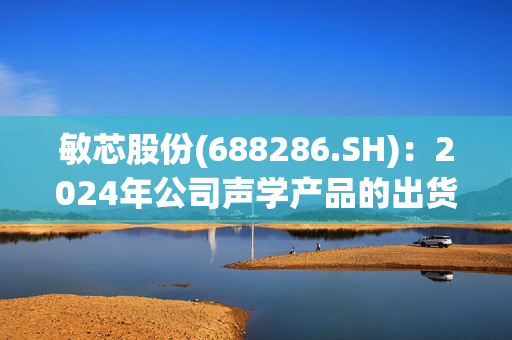 敏芯股份(688286.SH)：2024年公司声学产品的出货量很大