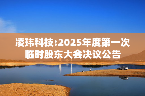 凌玮科技:2025年度第一次临时股东大会决议公告