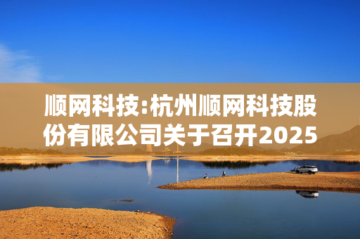 顺网科技:杭州顺网科技股份有限公司关于召开2025年第一次临时股东大会的通知