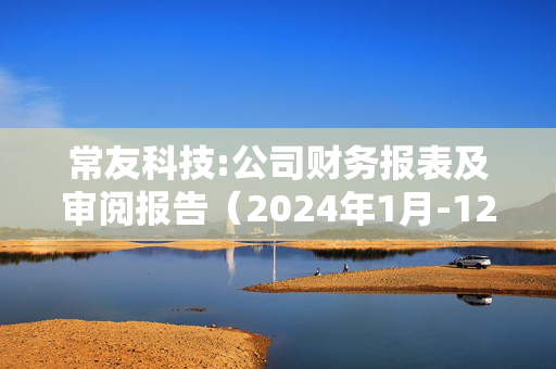 常友科技:公司财务报表及审阅报告（2024年1月-12月）