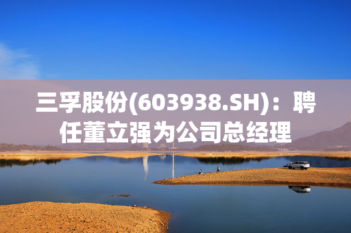 三孚股份(603938.SH)：聘任董立强为公司总经理