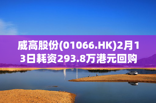 威高股份(01066.HK)2月13日耗资293.8万港元回购60万股