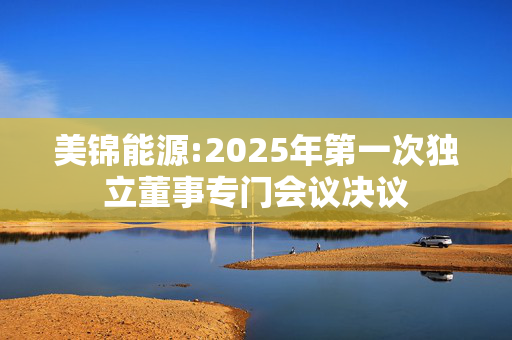 美锦能源:2025年第一次独立董事专门会议决议