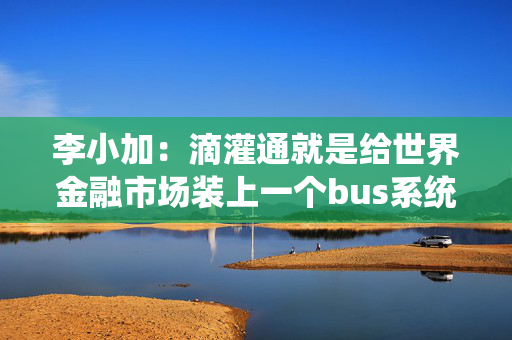 李小加：滴灌通就是给世界金融市场装上一个bus系统