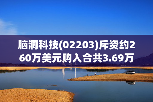 脑洞科技(02203)斥资约260万美元购入合共3.69万股Innodata股份