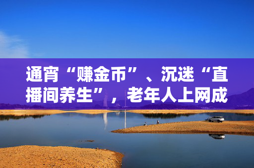 通宵“赚金币”、沉迷“直播间养生”，老年人上网成瘾何解？