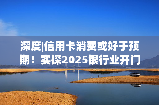 深度|信用卡消费或好于预期！实探2025银行业开门红：“两新两重”重点布局 普惠信贷中小行暂避风头