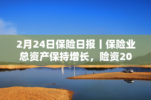 2月24日保险日报丨保险业总资产保持增长，险资2024年综合投资收益率超7%，险资举牌继续升温