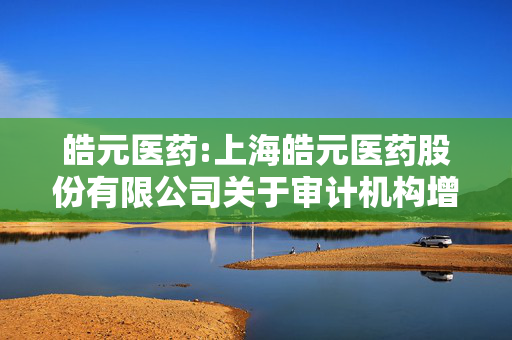 皓元医药:上海皓元医药股份有限公司关于审计机构增加签字注册会计师及变更项目质量复核人的公告