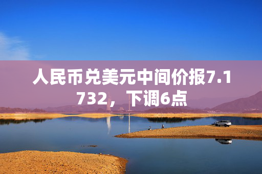 人民币兑美元中间价报7.1732，下调6点