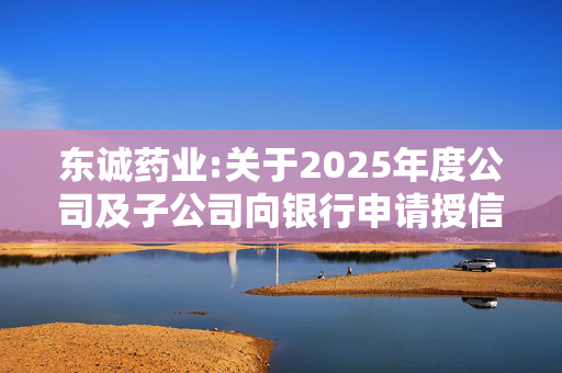 东诚药业:关于2025年度公司及子公司向银行申请授信额度的公告