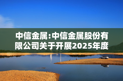 中信金属:中信金属股份有限公司关于开展2025年度商品套期保值业务的公告