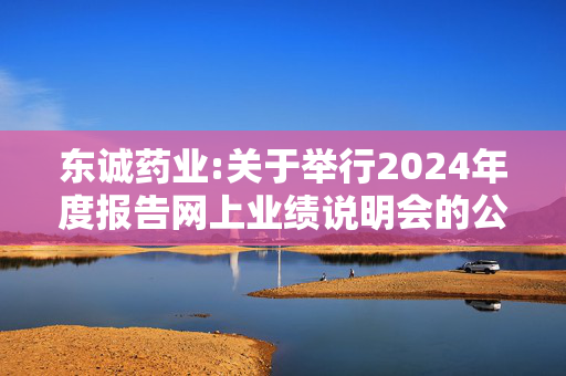 东诚药业:关于举行2024年度报告网上业绩说明会的公告