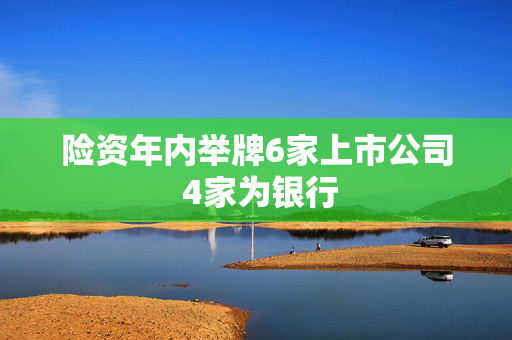 险资年内举牌6家上市公司 4家为银行