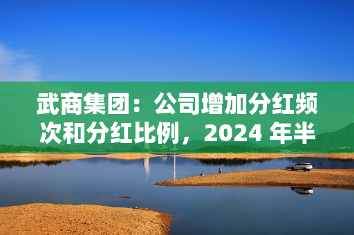 武商集团：公司增加分红频次和分红比例，2024 年半年度首次实施中期分红，中期现金分红总额占2024年半年度净利润的49.34%