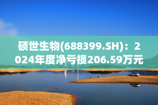 硕世生物(688399.SH)：2024年度净亏损206.59万元