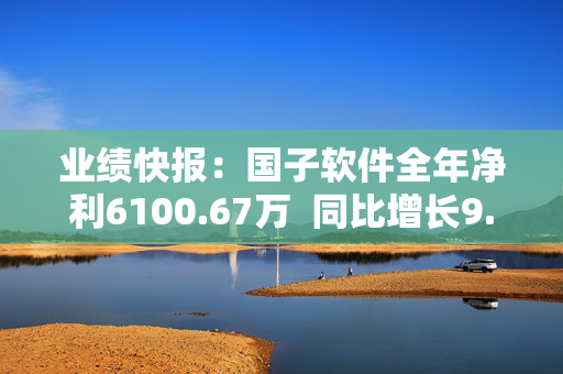 业绩快报：国子软件全年净利6100.67万  同比增长9.24%