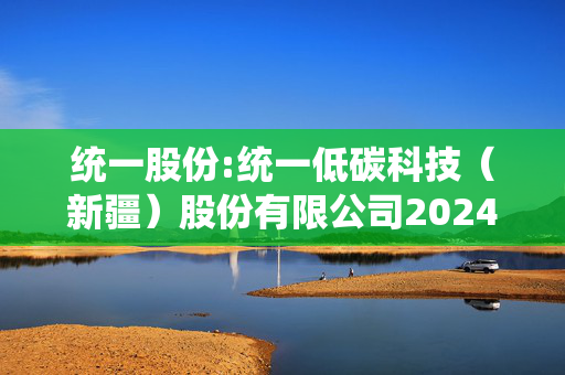 统一股份:统一低碳科技（新疆）股份有限公司2024年商誉减值测试报告