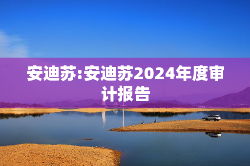 安迪苏:安迪苏2024年度审计报告