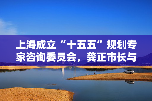 上海成立“十五五”规划专家咨询委员会，龚正市长与8位专家座谈交流