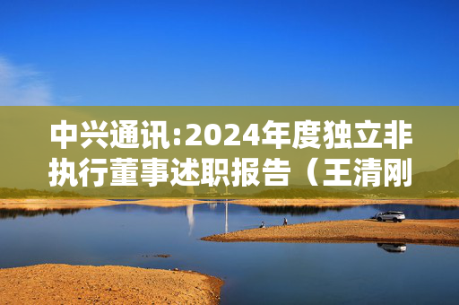 中兴通讯:2024年度独立非执行董事述职报告（王清刚）