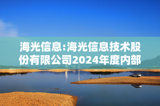 海光信息:海光信息技术股份有限公司2024年度内部控制评价报告