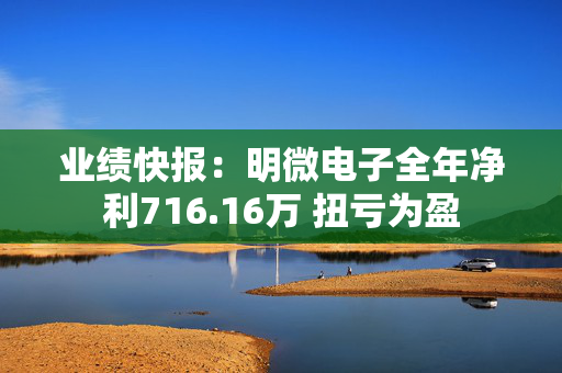 业绩快报：明微电子全年净利716.16万 扭亏为盈