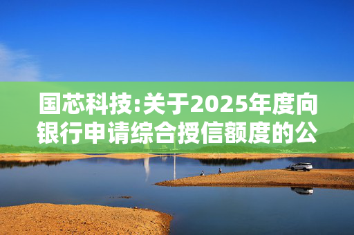 国芯科技:关于2025年度向银行申请综合授信额度的公告