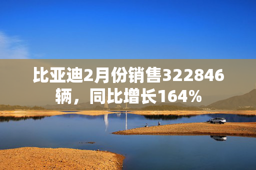 比亚迪2月份销售322846辆，同比增长164%