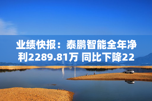 业绩快报：泰鹏智能全年净利2289.81万 同比下降22.59%