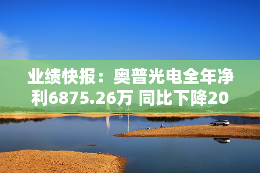 业绩快报：奥普光电全年净利6875.26万 同比下降20.64%