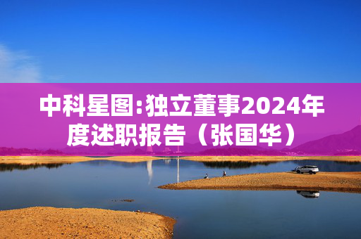 中科星图:独立董事2024年度述职报告（张国华）