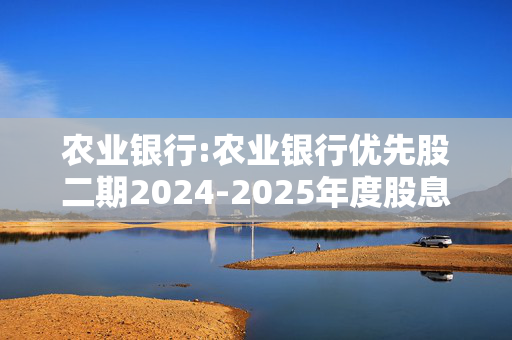 农业银行:农业银行优先股二期2024-2025年度股息发放实施公告