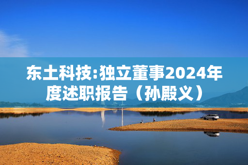 东土科技:独立董事2024年度述职报告（孙殿义）