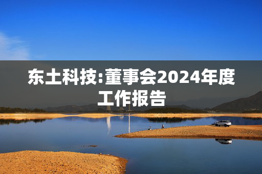 东土科技:董事会2024年度工作报告