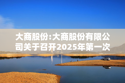 大商股份:大商股份有限公司关于召开2025年第一次临时股东大会的通知